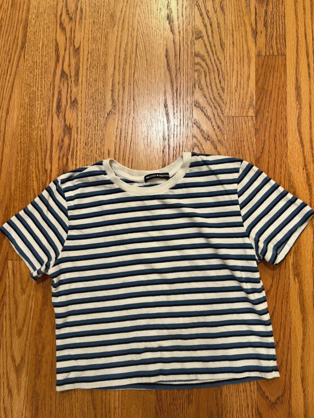 Brandy Melville Blue White Striped Crop Tee Baby Tee One Size